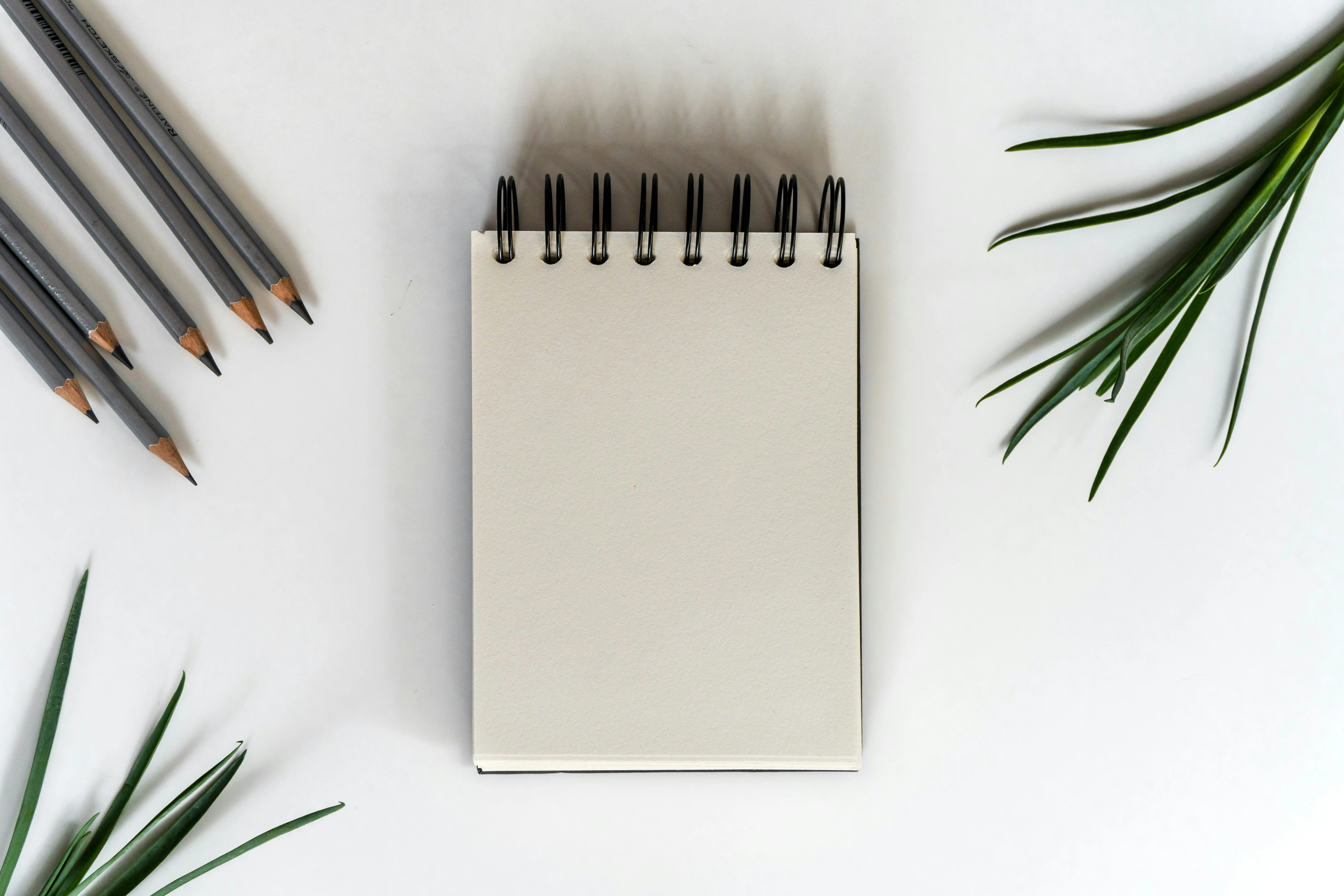 Premium stationery collection from Paper & Beyond